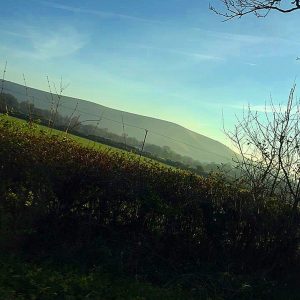 Sussex Countyside, The Sussex Online